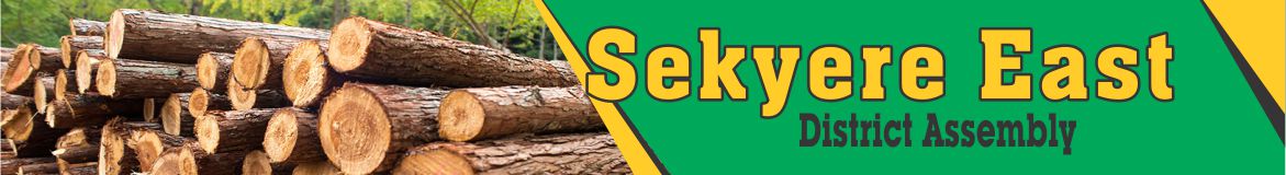 Sekyere East District