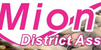 Mion District