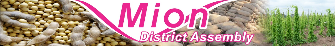 Mion District