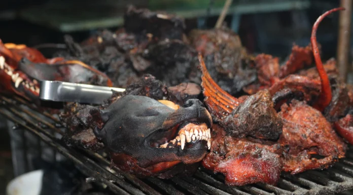 Economic hardship: Dog meat patrons lament price hikes