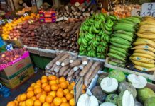 Global food imports on track to reach all-time high - FAO