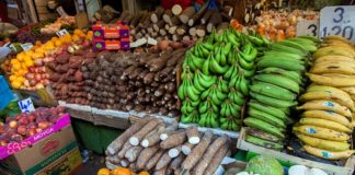 Global food imports on track to reach all-time high - FAO