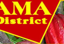 Shama District