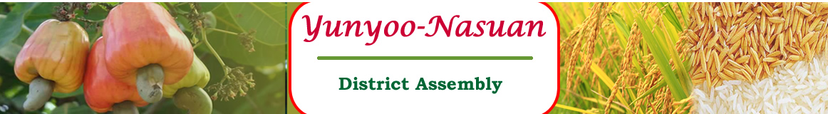 Yunyoo Nasuan District