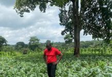 John Dumelo launches 'Operation Feed Ourselves'