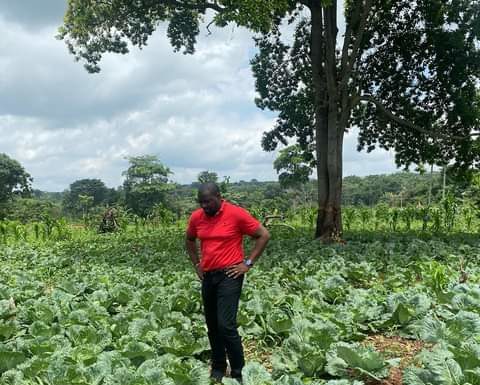 John Dumelo launches 'Operation Feed Ourselves'