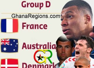 Qatar 2022 FIFA World Cup Group D