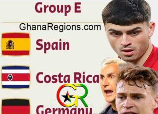 Qatar 2022 FIFA World Cup Group E