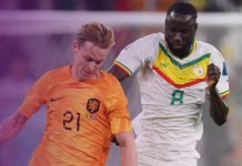 Senegal vs Netherlands (0-2)