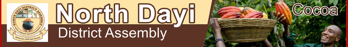 North Dayi District