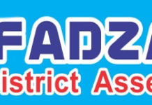 Afadzato South District