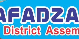 Afadzato South District