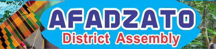 Afadzato South District