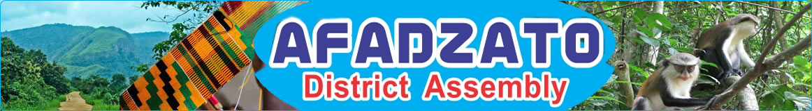 Afadzato South District 