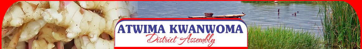 Atwima Kwanwoma District