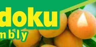 Shai Osudoku District
