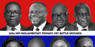 Results of 2024 NPP parliamentary primaries