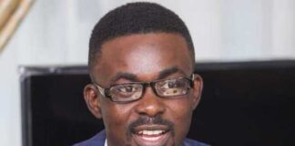 Nana Appiah Mensah, NAM1