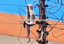 Snake Triggers Power Outage in Ejisu, Ashanti Region, Ghana
