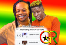 Daddy Lumba, Shatta Wale, Google trending music artists