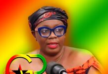 Ellen Ama Daaku Biography, Ghana helicopter crash arrest