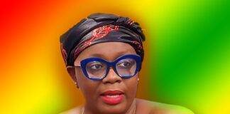 Ellen Ama Daaku Biography, Ghana helicopter crash arrest