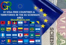 EU Schengen visa reform, 61 visa-free countries, EU Schengen countries