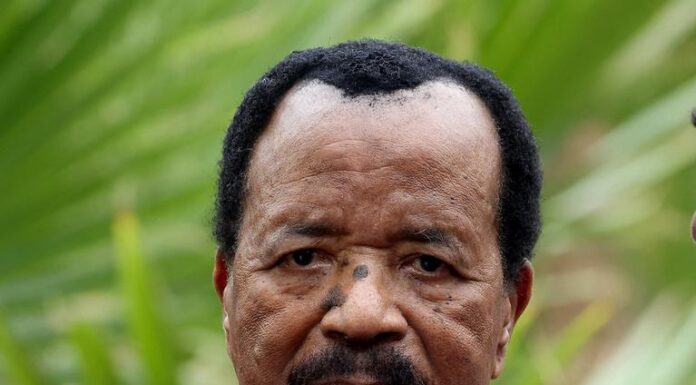 Paul Biya, Cameroon election 2025, Cameroon president