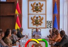 President John Mahama, Prof Henry Kwasi Prempeh, Ghana Constitutional Review Committee Report