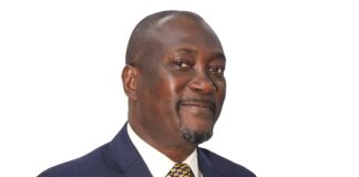 Prof. Henry Kwasi Prempeh, Constitutional Review Committee Ghana