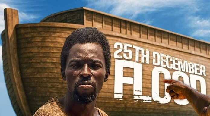 Ebo Noah, Building Massive Arks,Christmas flood