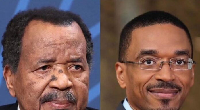 President Paul Biya, Franck Emmanuel Biya, Vice President of Cameroon