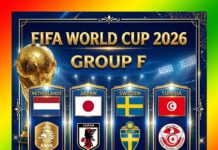 2026 FIFA World Cup Group F, Netherlands, Japan, Sweden, Tunisia