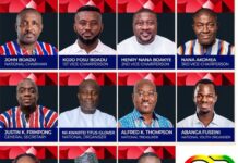 New Patriotic Party, NPP National Executive Elections 2026
